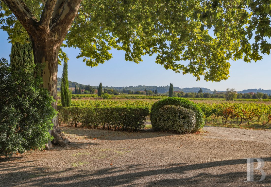 Dans le Vaucluse, au sud-est de Cairanne, une maison dédiée à la villégiature au cœur d’un domaine viticole  - photo  n°33